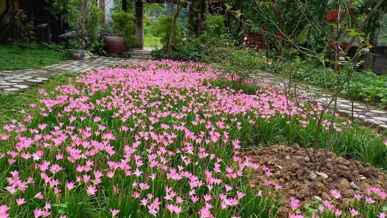 Yen Binh Homestay 닌빈 외부 사진