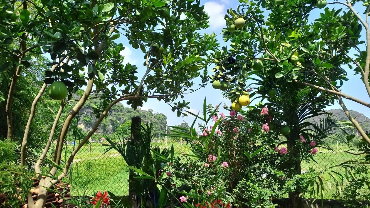 Yen Binh Homestay 닌빈 외부 사진