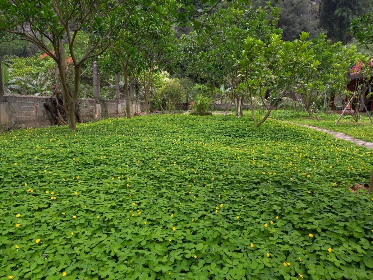 Yen Binh Homestay 닌빈 외부 사진