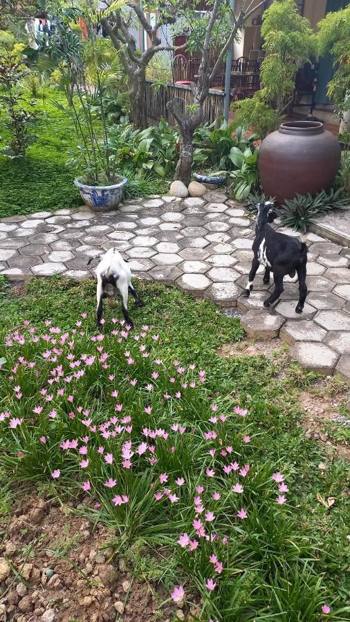 Yen Binh Homestay 닌빈 외부 사진