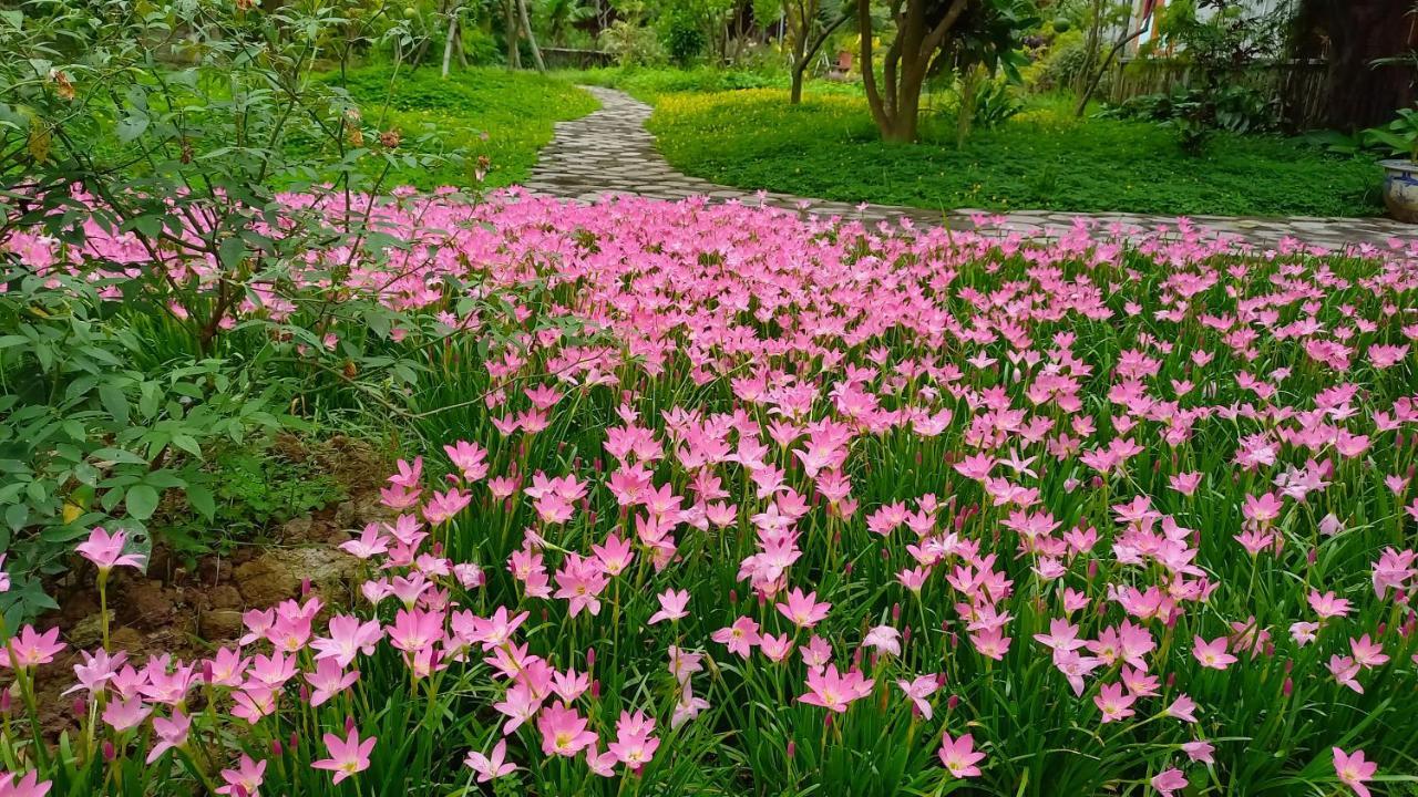Yen Binh Homestay 닌빈 외부 사진
