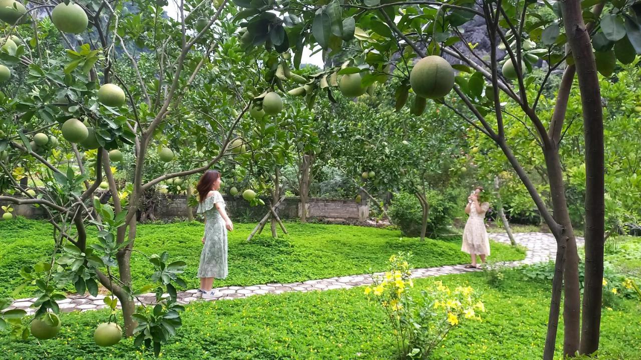 Yen Binh Homestay 닌빈 외부 사진